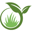 Costa Mesa Lawn Clean Up