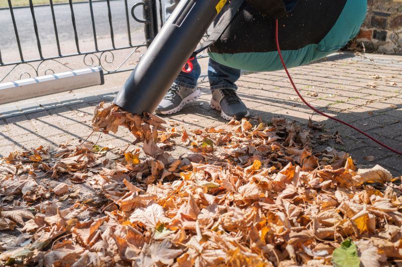 Leaves Vacuuming