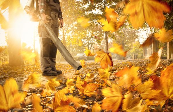 Cost of Leaf Blowing Service in Costa Mesa