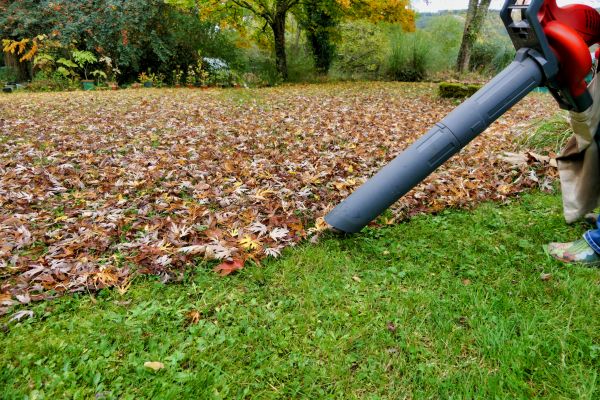 Cost of Leaf Vacuuming Service in Costa Mesa