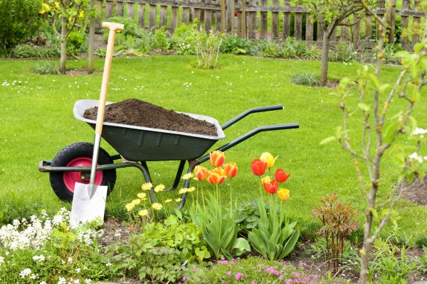 Cost of Spring Yard Cleanup in Costa Mesa