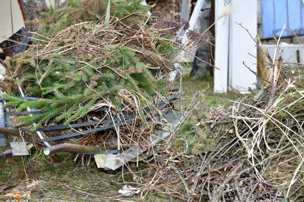 Cost of Yard Waste Removal Service in Costa Mesa