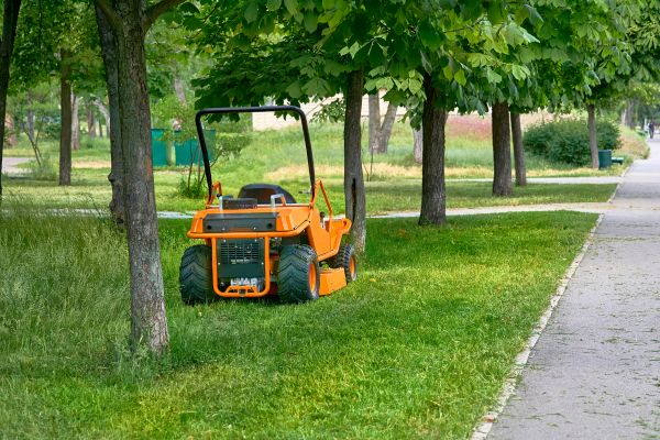Cost of Landscaping Cleanup Service in Costa Mesa