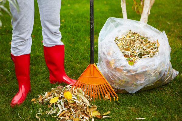 Cost of Leaf Disposal Service in Costa Mesa