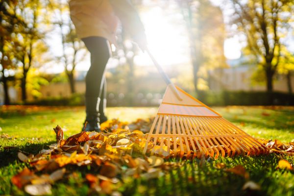Cost of Leaves Raking in Costa Mesa