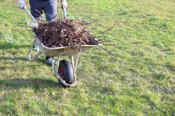 Cost of Yard Brush Removal in Costa Mesa