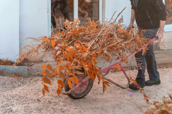 Cost of Lawn Debris Cleanup in Costa Mesa