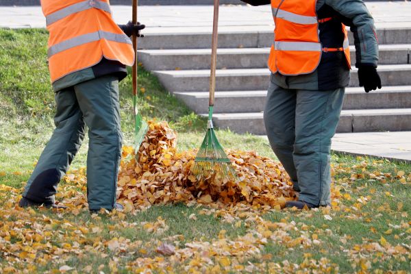 Cost of Leaf Hauling Service in Costa Mesa