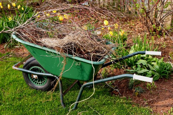 Cost of Lawn Waste Removal in Costa Mesa