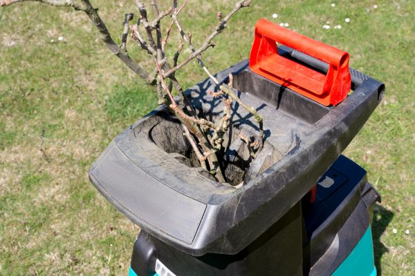 Cost of Brush Cleanup Service in Costa Mesa