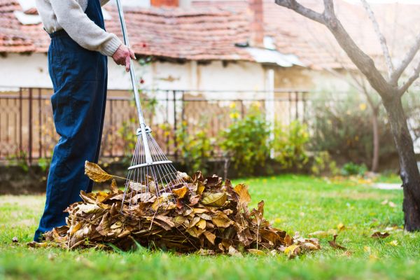 Cost of Fall Yard Cleanup Service in Costa Mesa