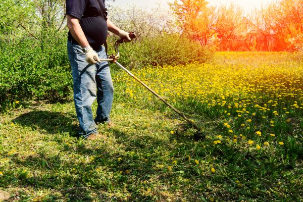 Cost of Yard Clearing Service in Costa Mesa
