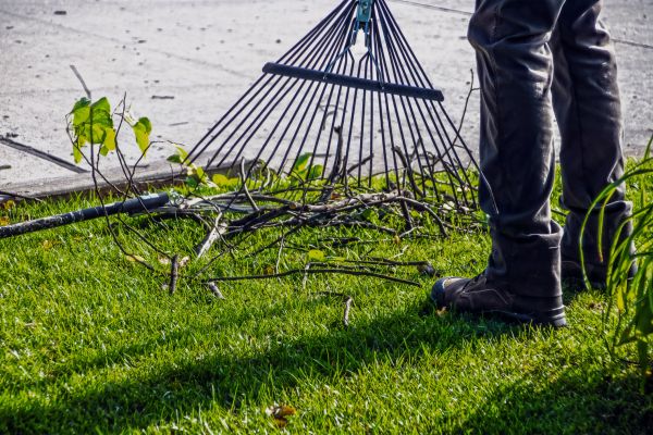 Cost of Yard Debris Cleanup in Costa Mesa