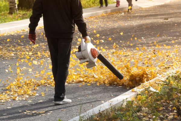 Cost of Commercial Leaf Removal in Costa Mesa
